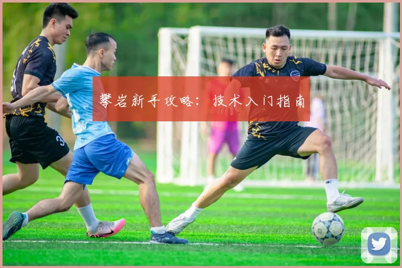 攀岩新手攻略：技术入门指南