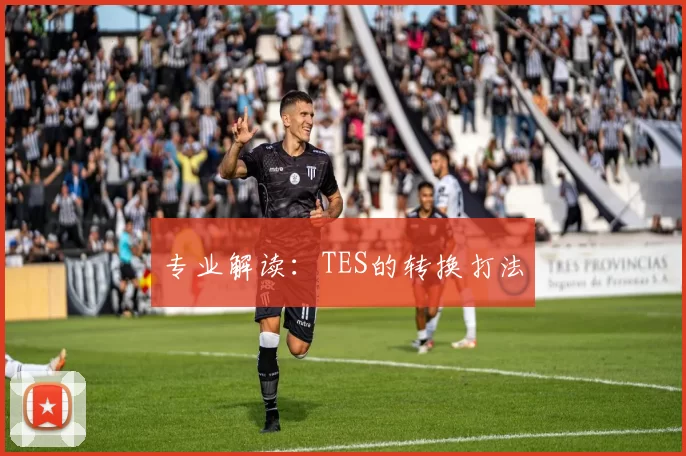专业解读：TES的转换打法