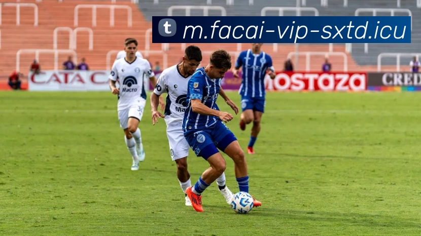 九游体育平台生态图